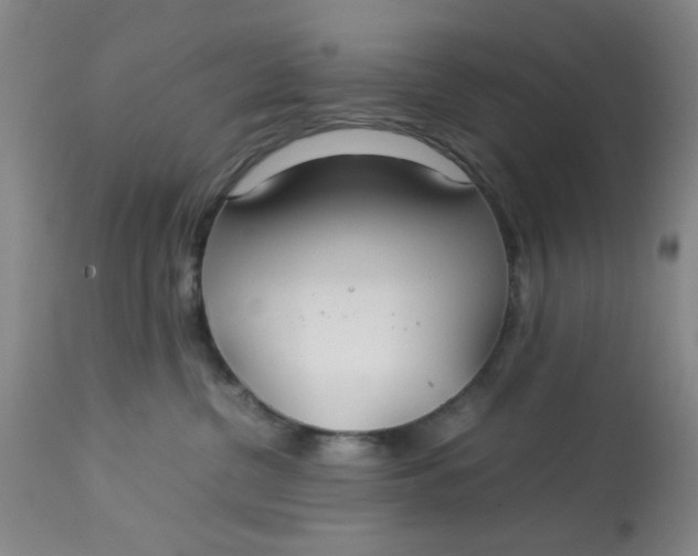 X0000113620380200910091537