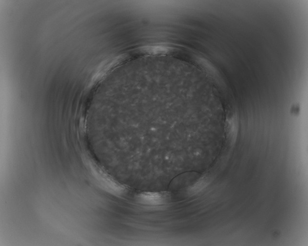 X0000113620381200910091537
