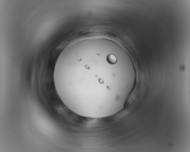 X0000113620382200910091537