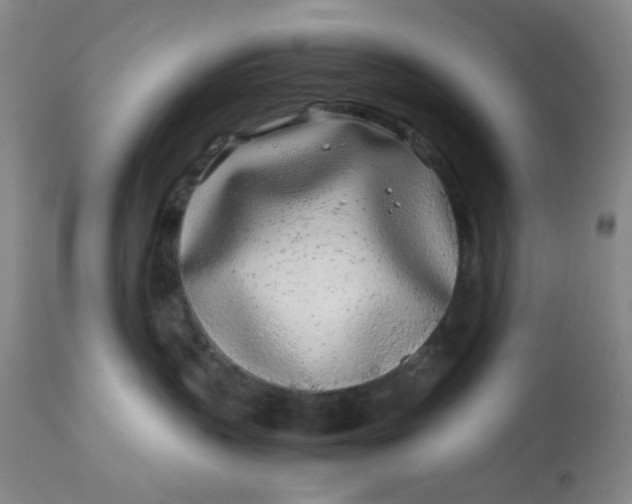 X0000113620383200910091537