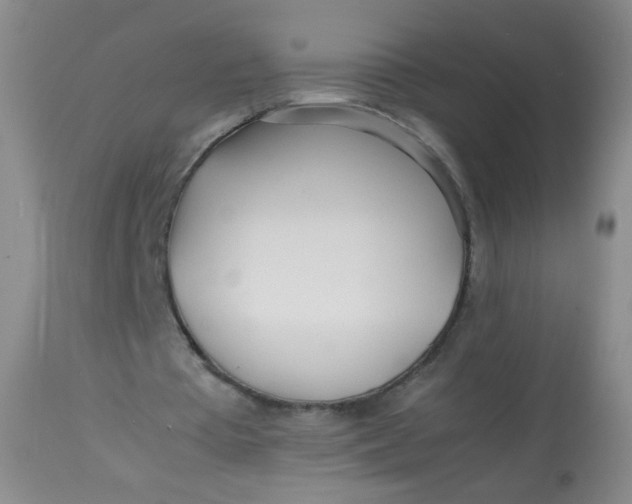 X0000113620385200910091536