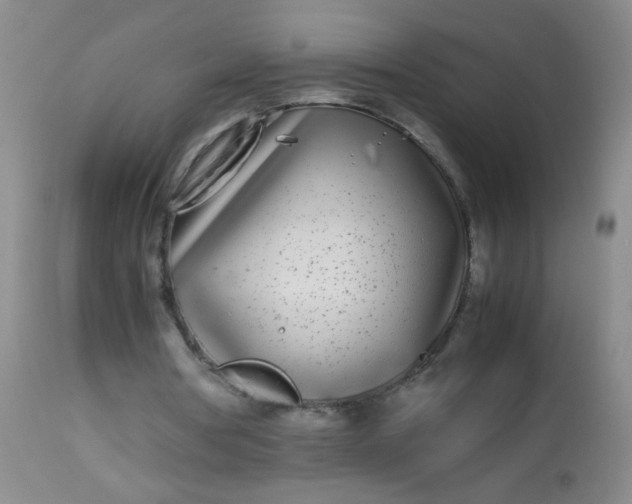 X0000113620386200910091536