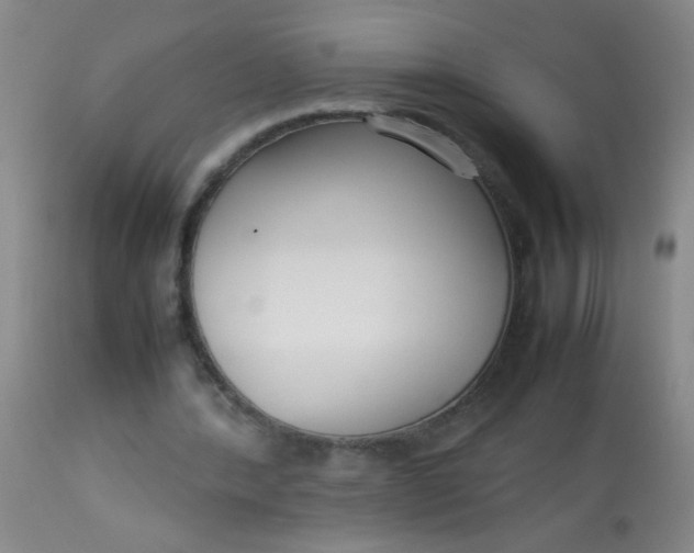 X0000113620388200910091536