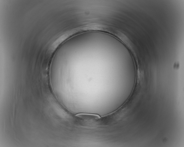 X0000113620389200910091536