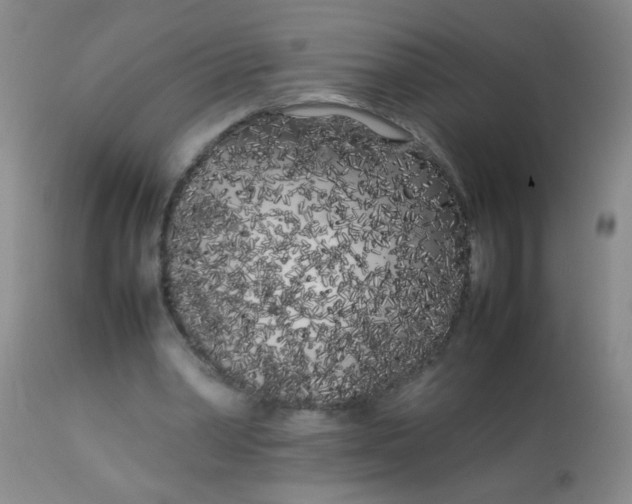 X0000113620390200910091536