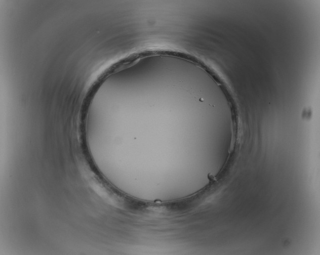 X0000113620391200910091536
