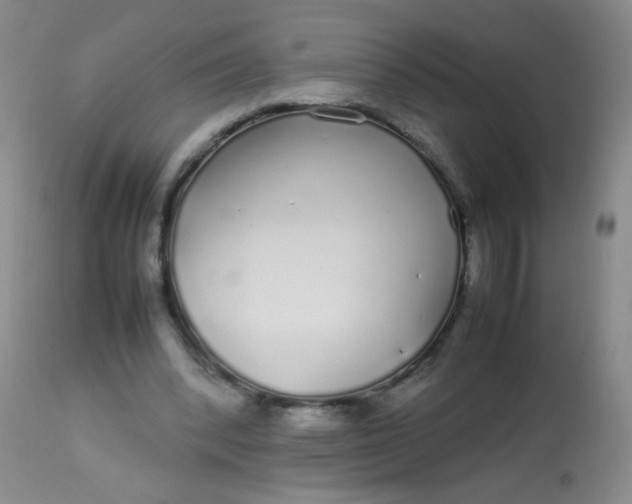 X0000113620392200910091536