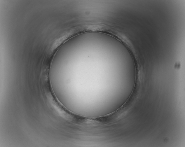 X0000113620393200910091536