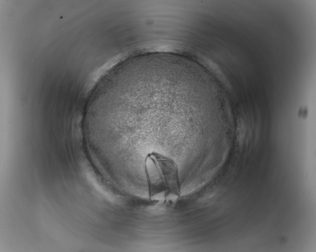 X0000113620394200910091536