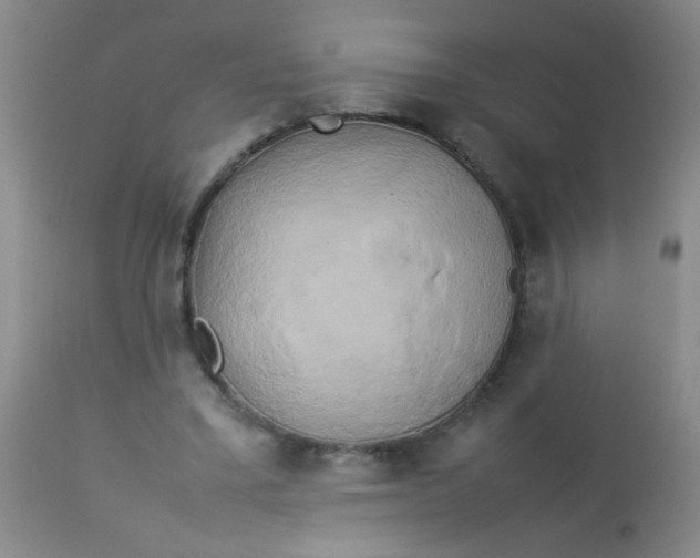 X0000113620395200910091536