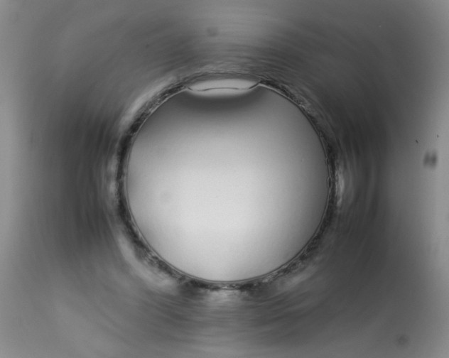 X0000113620396200910091536