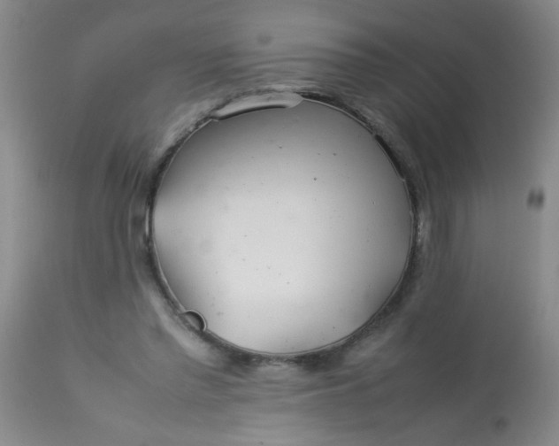 X0000113620397200910091536