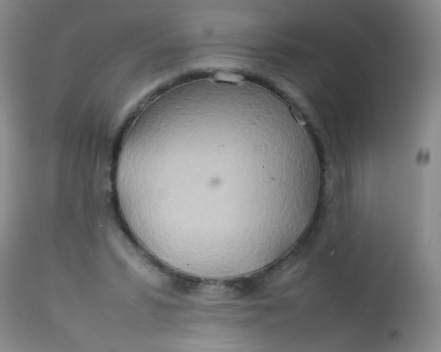 X0000113620399200910091536