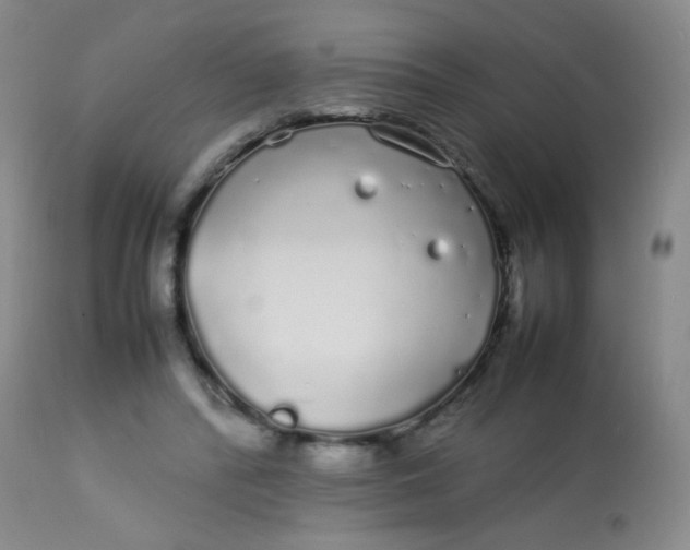 X0000113620400200910091536