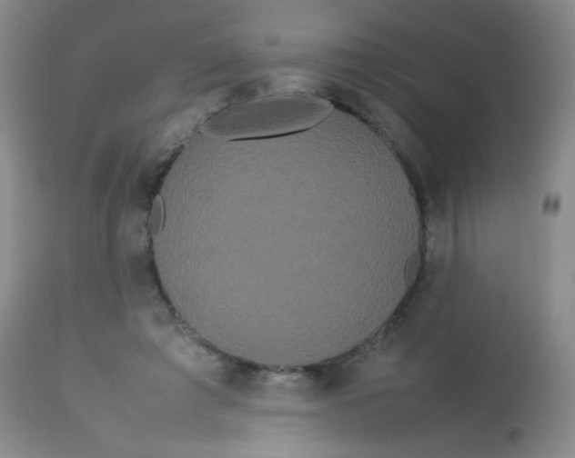 X0000113620401200910091536