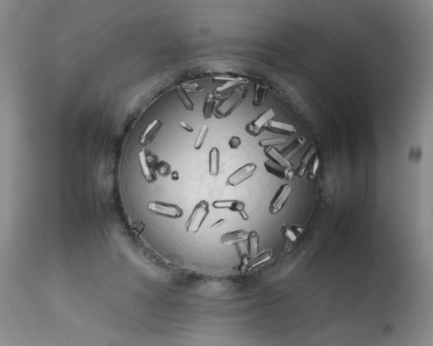 X0000113620402200910091536