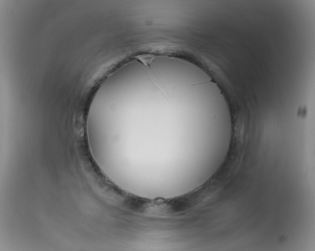 X0000113620403200910091536