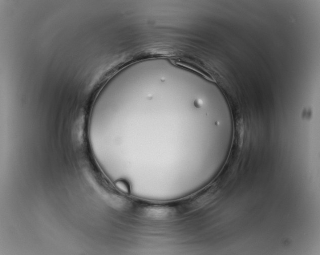 X0000113620404200910091536