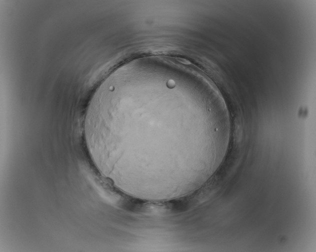 X0000113620405200910091536