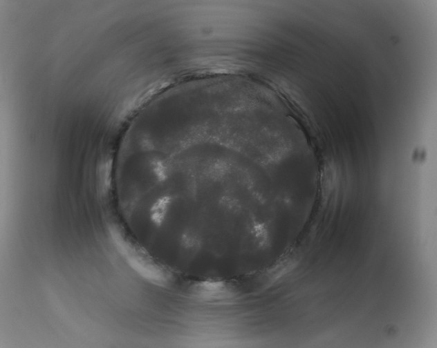 X0000113620406200910091536