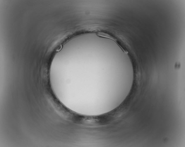 X0000113620407200910091536