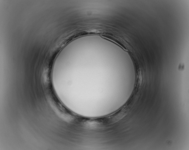 X0000113620408200910091536