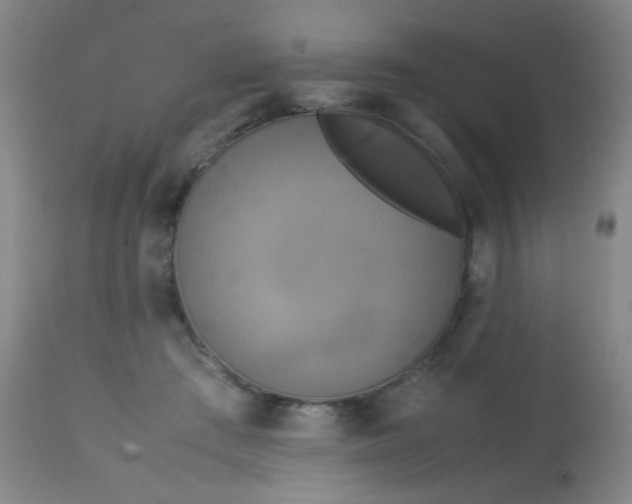 X0000113620409200910091536