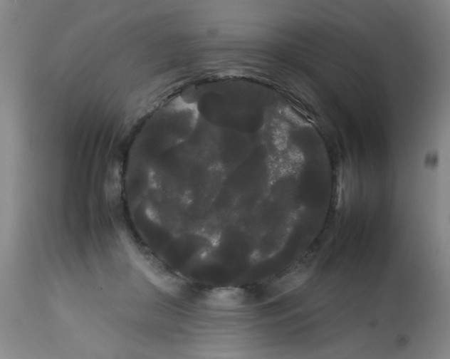 X0000113620410200910091536