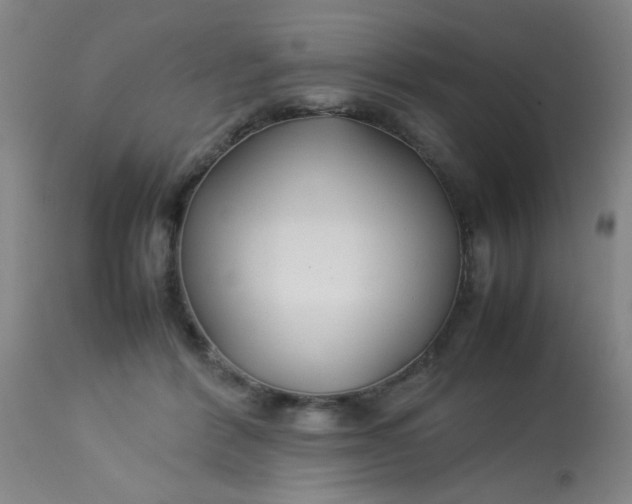 X0000113620412200910091536