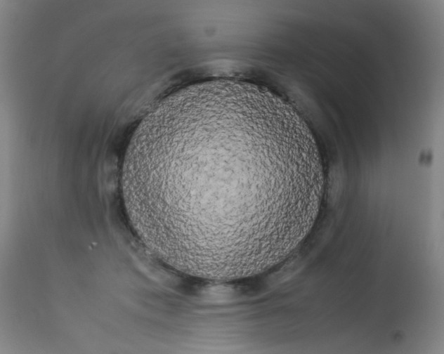 X0000113620413200910091536