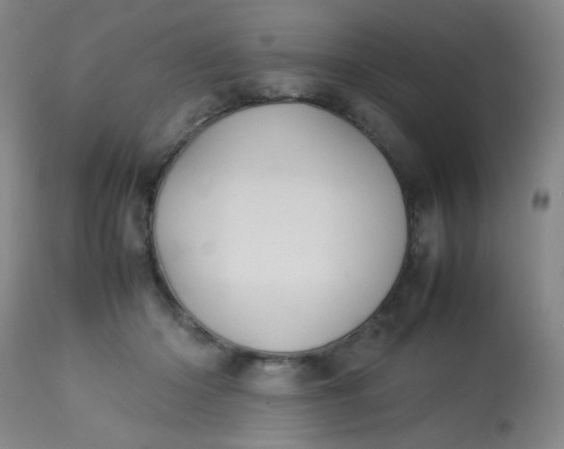 X0000113620414200910091536