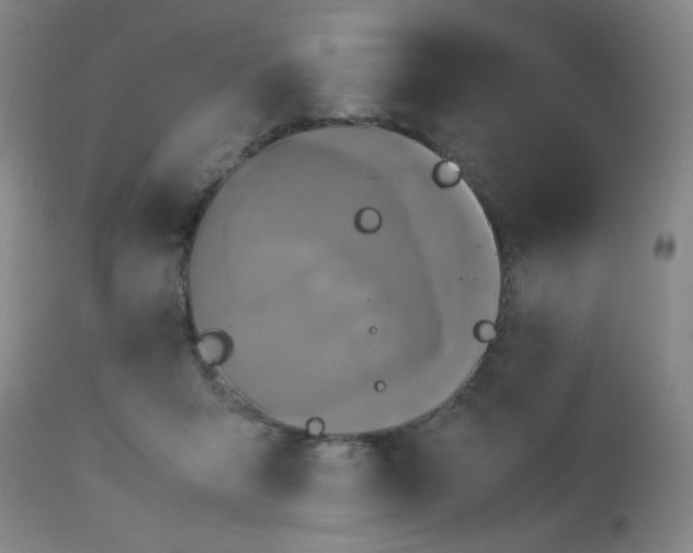 X0000113620415200910091536