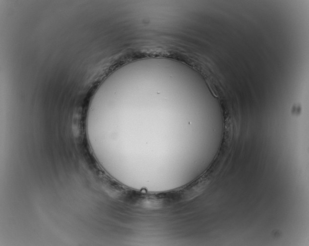 X0000113620416200910091536