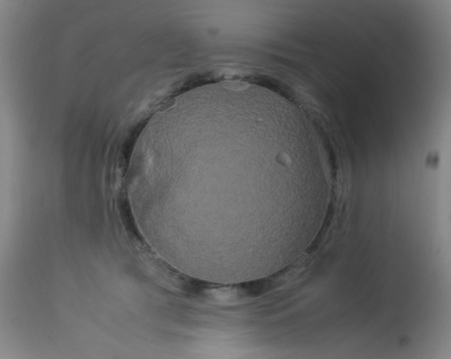 X0000113620417200910091536