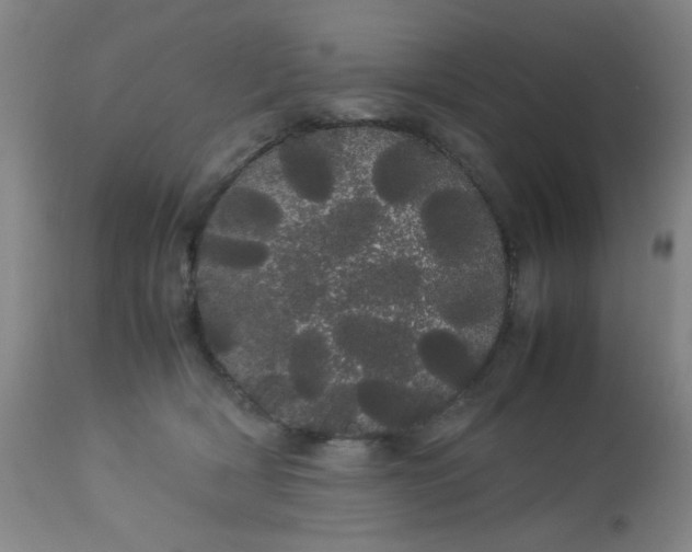 X0000113620418200910091536