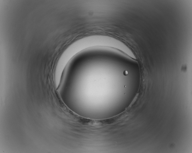X0000113620419200910091536