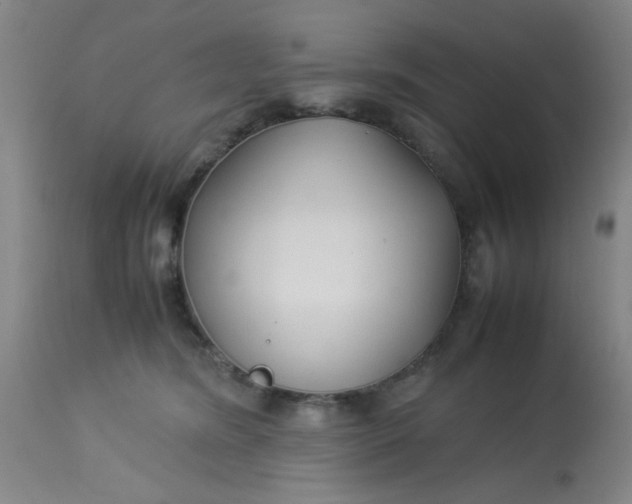 X0000113620420200910091536