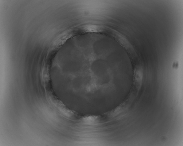 X0000113620422200910091536