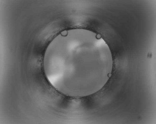 X0000113620423200910091536