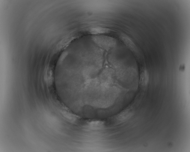X0000113620426200910091536