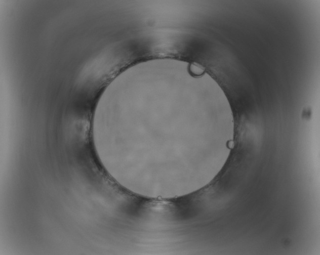 X0000113620427200910091536