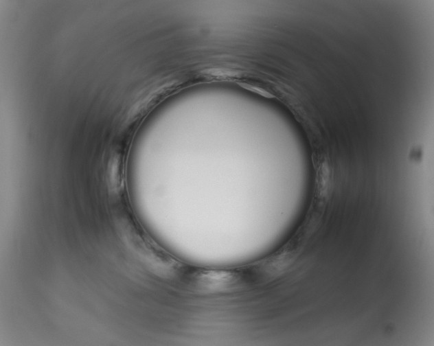 X0000113620428200910091536