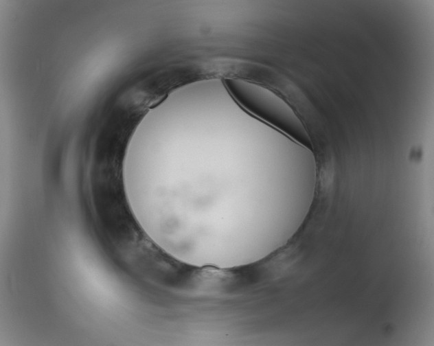 X0000113620429200910091536