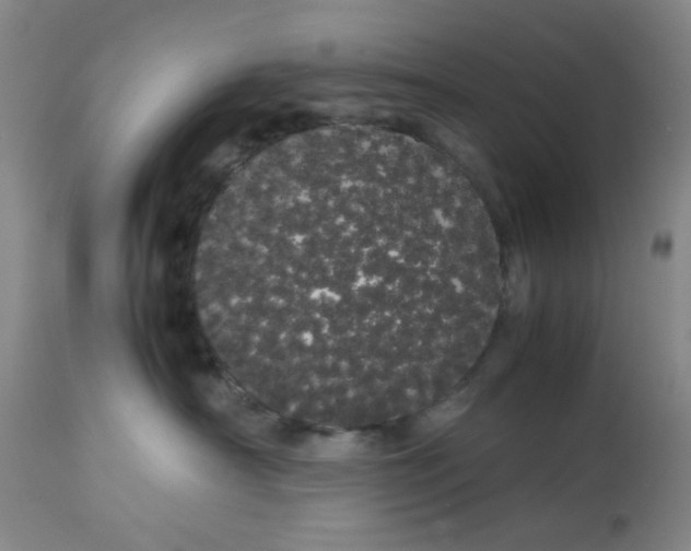 X0000113620430200910091536