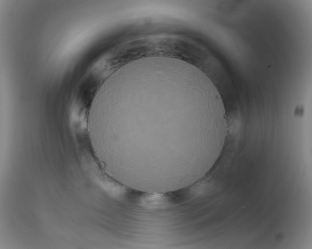 X0000113620431200910091536