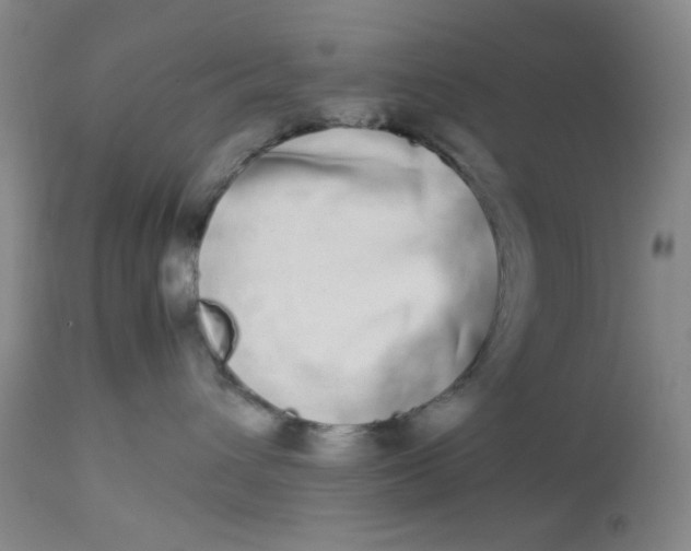 X0000113620432200910091536