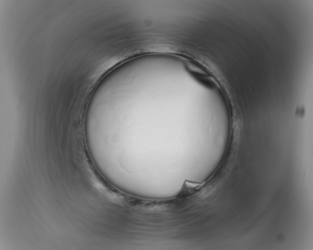 X0000113620433200910091535