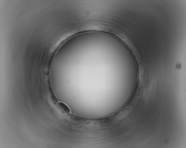 X0000113620434200910091535