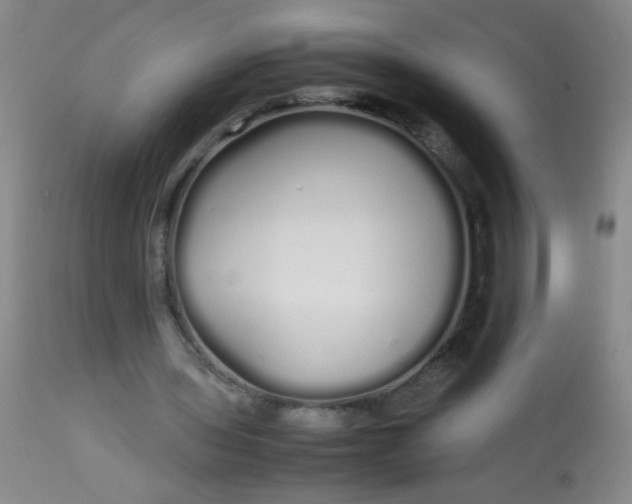 X0000113620435200910091535