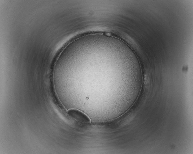 X0000113620436200910091535